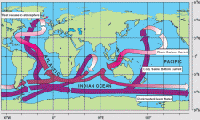 Thermohaline Circulation | Encyclopedia.com