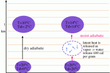 saturated lapse adiabatic