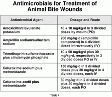 Animal Bite Infections | Encyclopedia.com